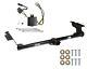 Trailer Tow Hitch For 05-10 Honda Odyssey All Styles With Wiring Harness Kit